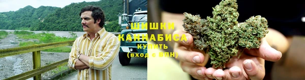 ГАЛЛЮЦИНОГЕННЫЕ ГРИБЫ Богородск