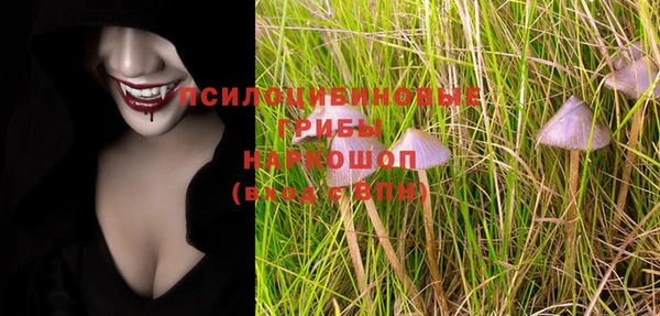 ГАЛЛЮЦИНОГЕННЫЕ ГРИБЫ Богородск