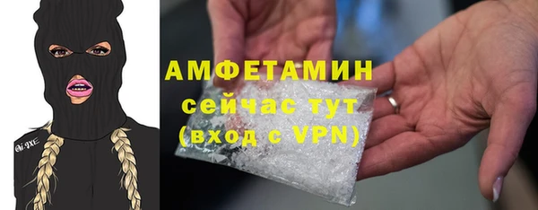 молекула духа Богородицк