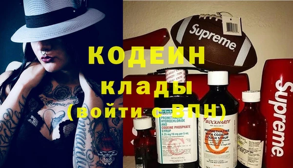 молекула духа Богородицк