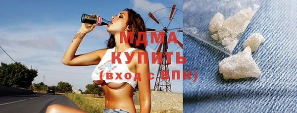 молекула духа Богородицк