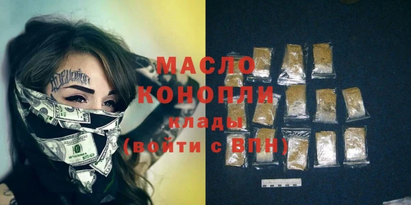 молекула духа Богородицк