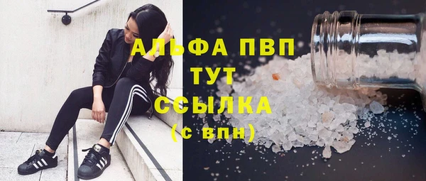 молекула духа Богородицк
